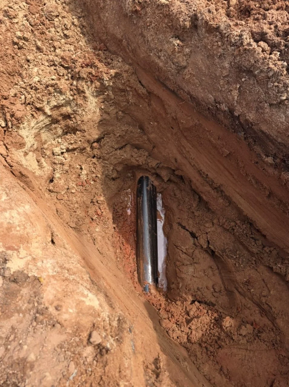 UMAP Activity - umap (6)